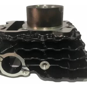 CILINDRO DISCOVER 125 ST (UNI2)