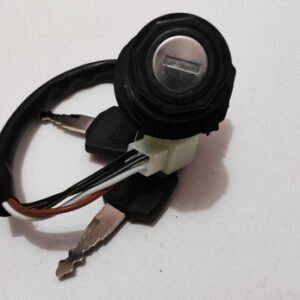 SWITCH  BOXER BM 100