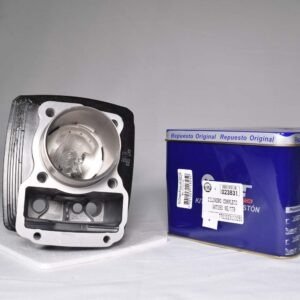 CILINDRO TTR 150 ORG ( AKT)