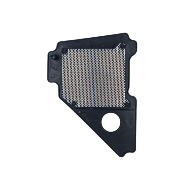 FILTRO  AIRE LIBERO   125